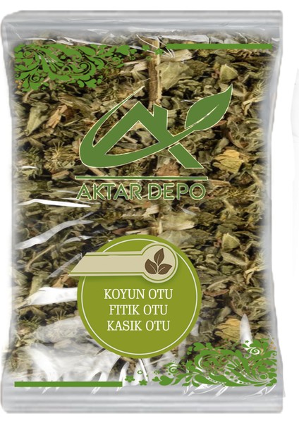 Koyun Otu (Fıtık Otu-Kasık Otu) 250 gr