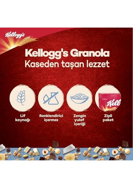 Kellogg's Granola Meyveli 340 gr