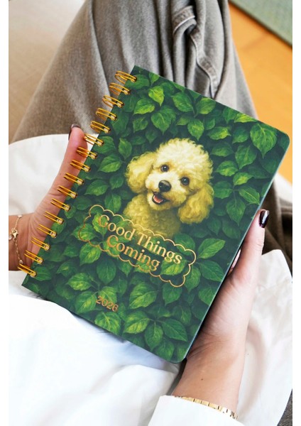 Spiralli Sert Kapak 2026 Günlük Ajanda A5 fırsatları