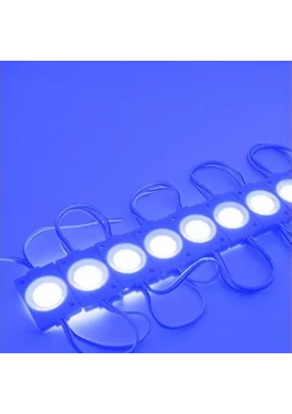 2.4W Mavi Reklamcı Modül LED Parmak LED Lamba 12 Volt 20 Adet fiyatları