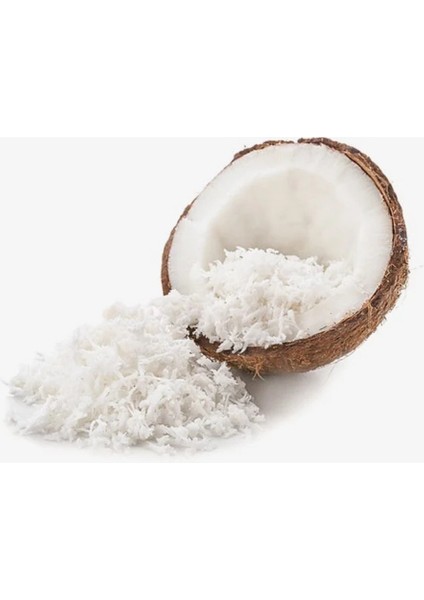 Hindistan Cevizi (Yağlı) modelleri