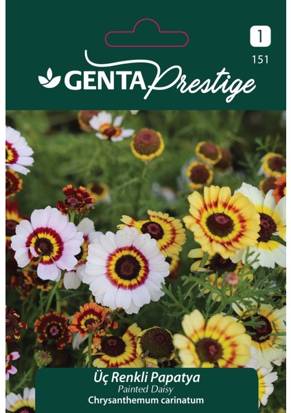 Prestige Üç Renkli Papatya (Painted Daisy – Chrysanthemum Carinatum) Tohumu – Arıları Çeken Çokrenkli Tek Yıllık Çiçek