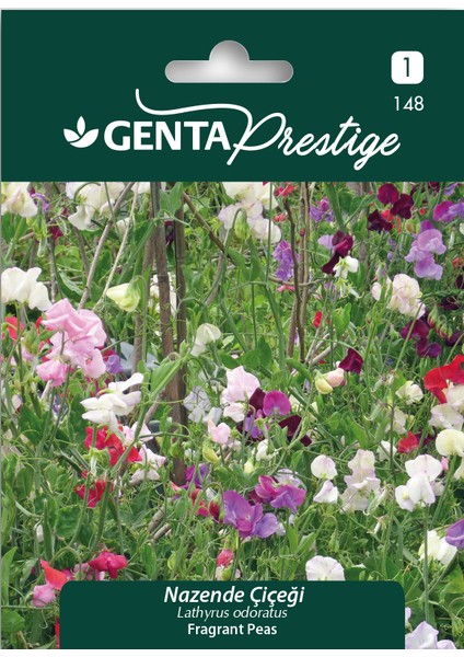 Prestige Nazende Çiçeği Tohumu – Renkli Columbine (Aquilegia Vulgaris), Yıllık Tırmanıcı Bitki