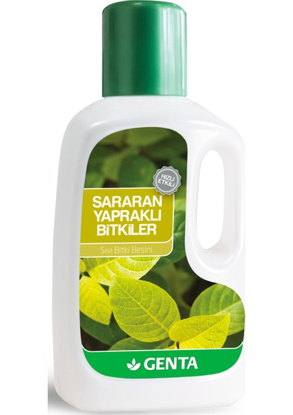 Sararan Yapraklı Bitkiler Sıvı Bitki Besini 500 ml – Klorofil Canlandırıcı, Iz Element Formülü
