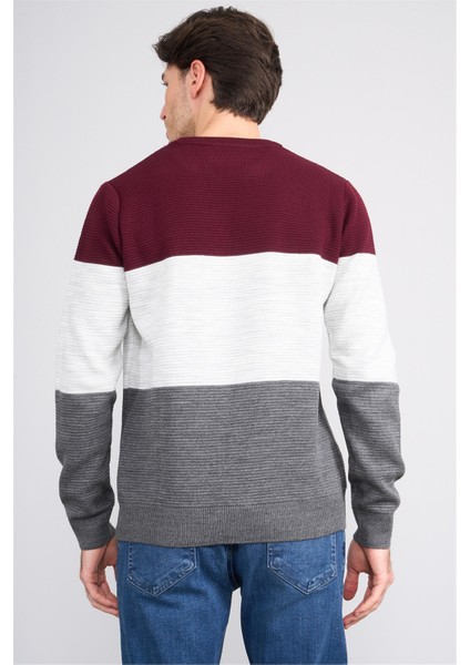 Çetinkaya Mentality 5258 Erkek Bisiklet Yaka Bloklu 1/18 Akrilik Triko Bordo