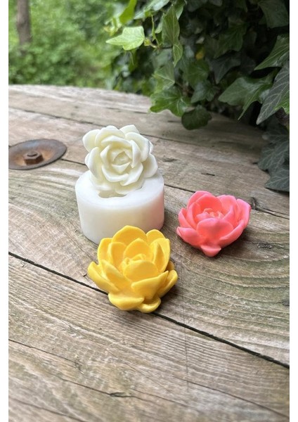 Concept Laui Sukulent Mum Kalıbı (Silikon)