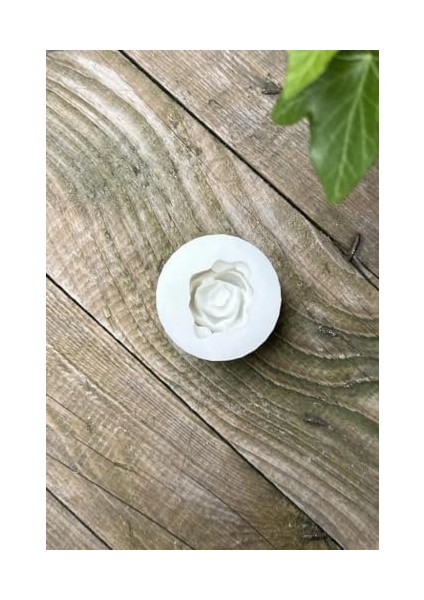 Concept Laui Sukulent Mum Kalıbı (Silikon) modelleri