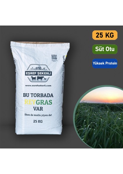 Rye Grass Reygras (Süt Otu) Tohumu