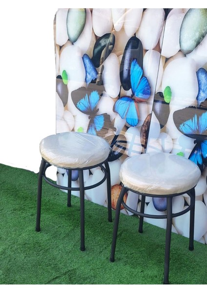 2'li Tabure Statık Ayaklı