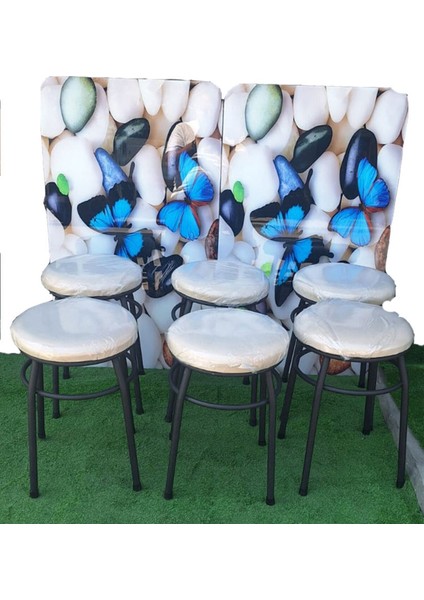 6'lı Tabure Statik Ayaklı