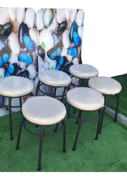 6'lı Tabure Statik Ayaklı modelleri