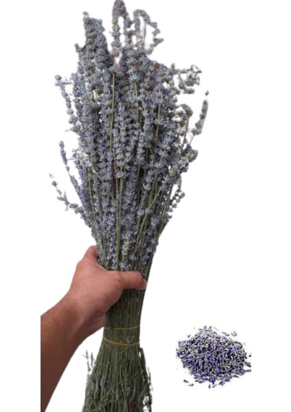 Lavanta Buketi - Demeti 40 cm