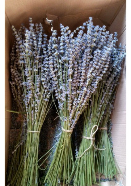 Lavanta Buketi - Demeti 40 cm fiyatları