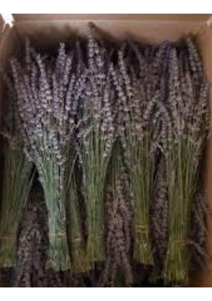 Lavanta Buketi - Demeti 40 cm modelleri