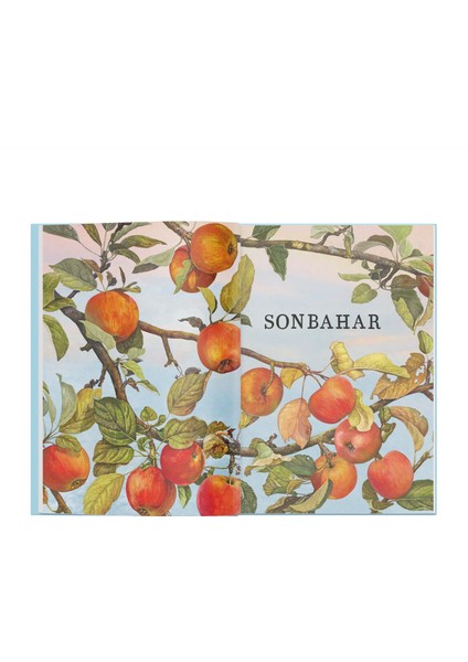 Doğanın Büyük Kitabı Elma Ağacı modelleri