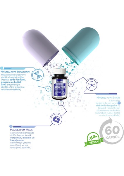 Magnezyum 3'lü Form (Bisglisinat, Malat, Sitrat), Vitamin (B2,B3,B6)-60 Kapsül indirimleri
