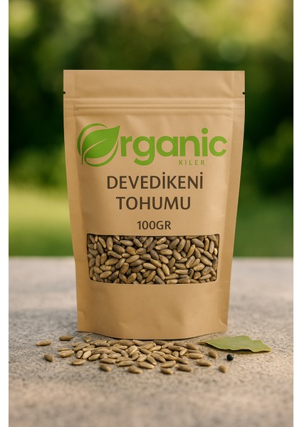 Devedikeni Tohumu 100GR Elenmiş Yeni Mahsül Organik