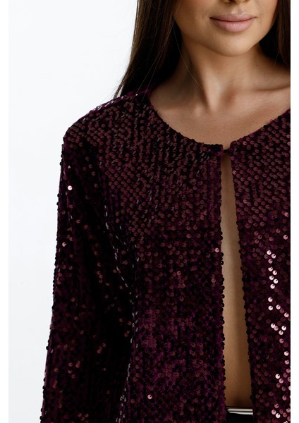 Astarlı Mevsimlik Kadife Üstüne Payet Işleme Abiye Ceket | CKT34356 Bordo fırsatları