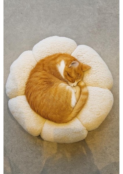 Papatya Yastık – Elyaf Dolgulu Dekoratif Yastık 33X33 cm (230 Gr) modelleri