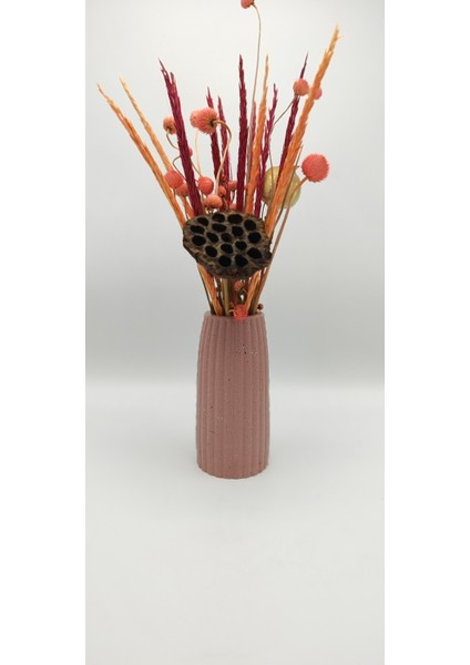 | Petra Vazo | Blush Pembe