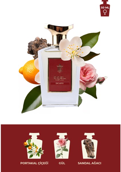 Encanto 50 ml Kadın Parfümü fiyatları