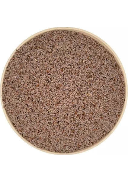 Karnıyarık Otu Tohumu 100GR. Elenmiş & Katkısız Taze Mahsül fiyatları