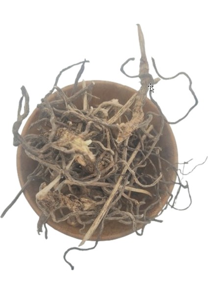 Tavşan Memesi Otu 25 gr fiyatları