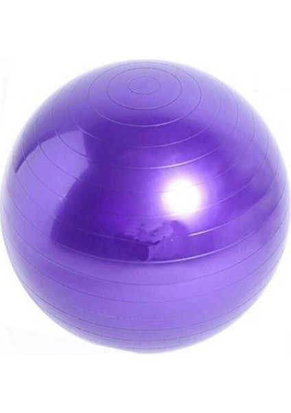 65CM Mavi Pilates Topu – Profesyonel Yoga, Pilates ve Spor Topu fiyatları