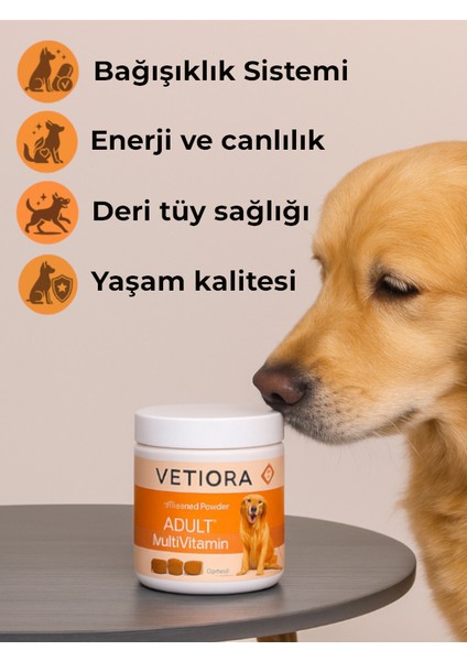 Köpekler İçin Multivitamin Güçlü Bağışıklık ve Sağlıklı Tüyler İçin Ödül Formunda, 60 Adet, 150 Gr modelleri