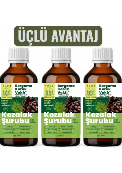 Bergama Kozak Vakfı Kozalak Şurubu 3 x 125 ml Şurup fiyatları