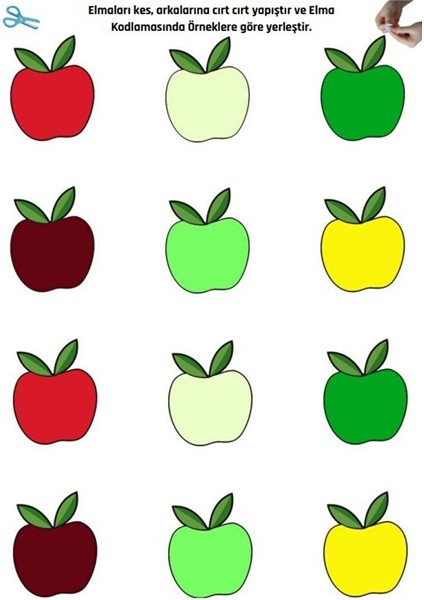 Cırt Cırtlı Renk Kodlama Yaz-Sil Eğitim Seti indirimleri