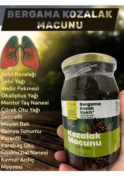 Bergama Vakfı Kozalak Macunu 420 gr