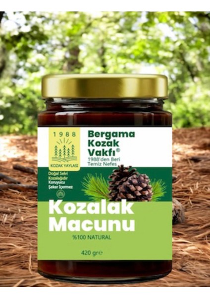 Bergama Vakfı Kozalak Macunu 420 gr modelleri