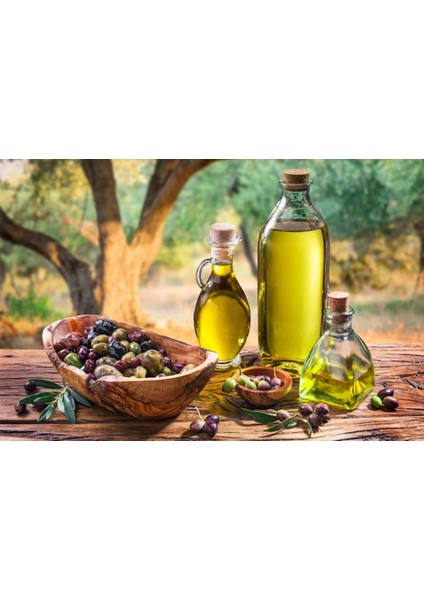 Zeytinyağı modelleri