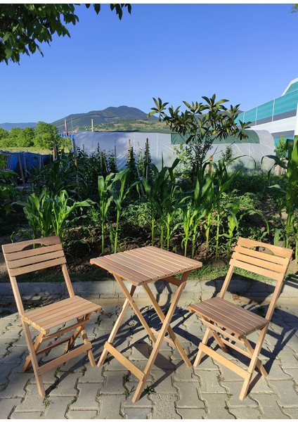 Minderli Balkon Bahçe Mutfak 3'lü Bistro Set Katlanır Masa Sandalye 2 Sandalye 1 Masa modelleri
