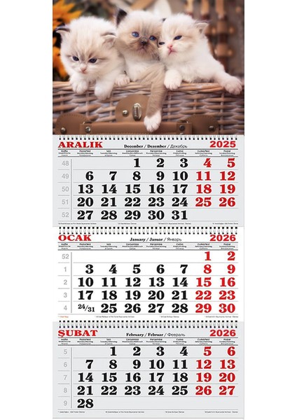 2026 Yılı Gemici Takvimi-Sepet Içindeki Yavru Kediler