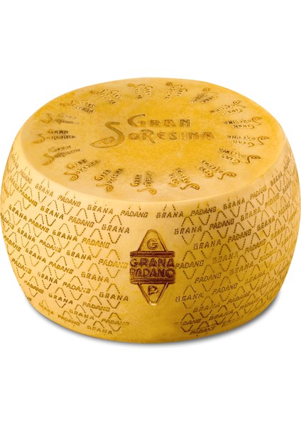 Grana Padano Parmesan Peyniri 38-40 kg