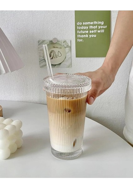 Cam Kapaklı Pipetli Cam Sunum Bardağı, Isıya Dayanıklı Bardak, Kahve Bardağı (400 Ml) fiyatları