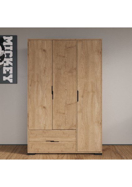 Royal 3 Kapaklı Çekmeceli Full Sepet Gardırop , Elbise Dolabı, Raflı Dolap, Kulpsuz