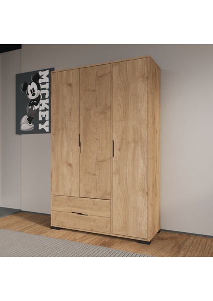 Royal 3 Kapaklı Çekmeceli Full Sepet Gardırop , Elbise Dolabı, Raflı Dolap, Kulpsuz modelleri