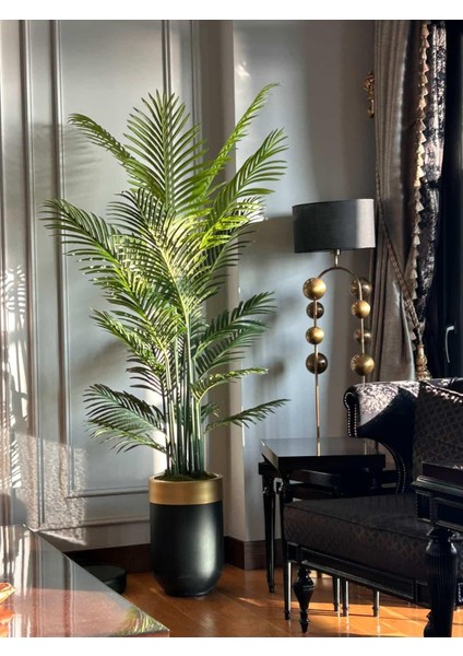 Siyah Gold Darbuka Saksıda Tusem Areka - 210 cm fiyatları