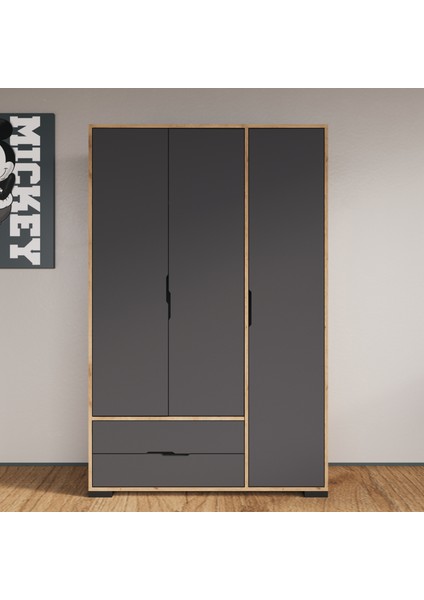 Royal 3 Kapaklı Çekmeceli Full Antrasit Gardırop , Elbise Dolabı, Raflı Dolap, Kulpsuz