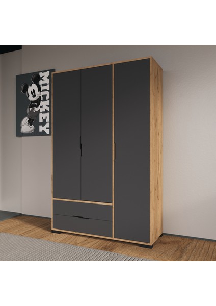 Royal 3 Kapaklı Çekmeceli Full Antrasit Gardırop , Elbise Dolabı, Raflı Dolap, Kulpsuz fiyatları