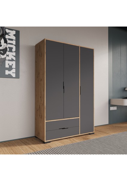 Royal 3 Kapaklı Çekmeceli Full Antrasit Gardırop , Elbise Dolabı, Raflı Dolap, Kulpsuz modelleri