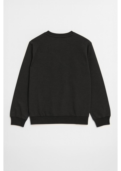 Erkek Bisiklet Yaka Düz Antrasit Sweatshirt fiyatları