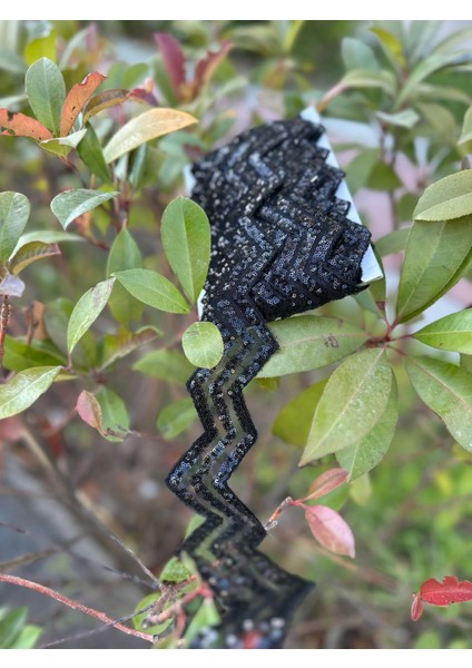 En 3 cm Zigzag Payetli Şerit Dikiş Aksesuarı 1 Metre fiyatları