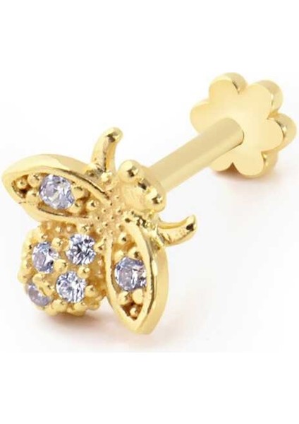 Arı Desen Taşlı Tragus Piercing