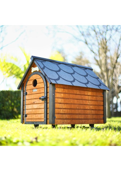 Ahşap Köpek Kulübesi fiyatları