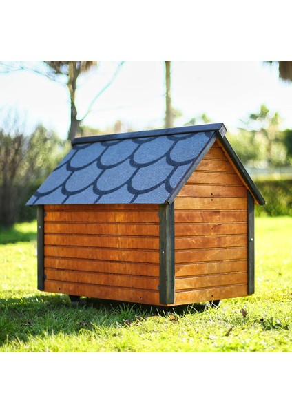 Ahşap Köpek Kulübesi modelleri