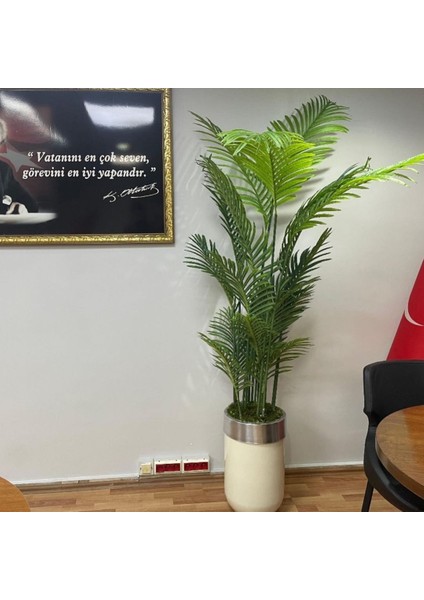 Krem Gümüş Darbuka Tusem Areka - 210 cm